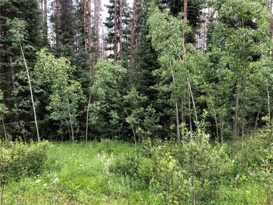 tbd Springboard Trail, Oak Creek, CO 80467 - photo 2
