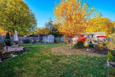 Backyard Oasis