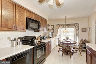 6197 Vine Forest Ct, Falls Church, VA 22044 - photo 6