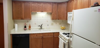 820 Graceland Ave unit 405, Des Plaines, IL 60016 - photo 5