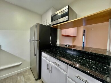 1643 Cambridge St unit 21, Cambridge, MA 02138 - photo 7