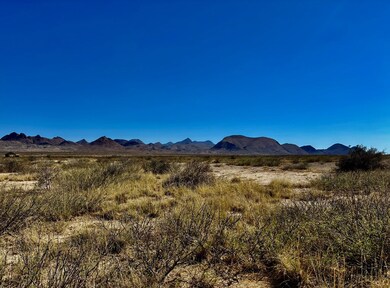 TR:9037 Highlander Ave, Terlingua, TX 79852 - photo 3