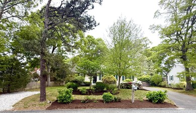 IMG_1742