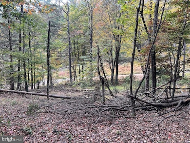 Lot 6 Deep Run Hollow, Delray, WV 26801 - photo 7