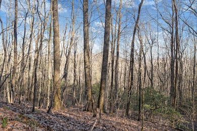 00 Zeb Buchanan Rd, Cullowhee, NC 28723 - photo 2