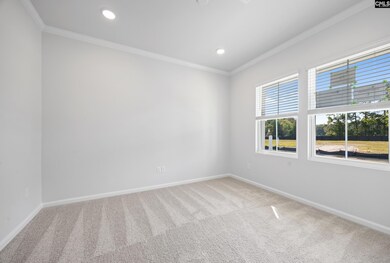 133 Monroe Preserve Ln, Chapin, SC 29036 - photo 6