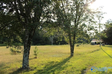 16 Old 431 Hwy, Owens Cross Roads, AL 35763 - photo 2