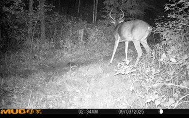 0 Roberts Lake Rd unit 25758611, Laona, WI 54541 - photo 7