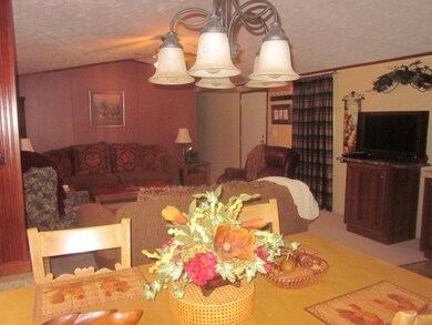 927 Woods Point Rd, Elizabeth, AR 72531 - photo 6