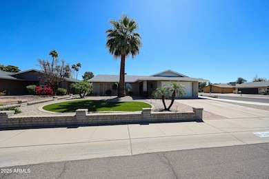Front Ext 2
