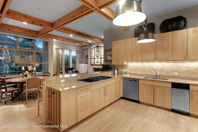 250 Mountain Laurel Dr unit B, Aspen, CO 81611 - photo 6