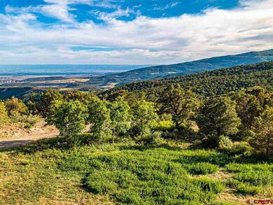 20101 Squirrel Rock Rd, Cedaredge, CO 81413 - photo 7
