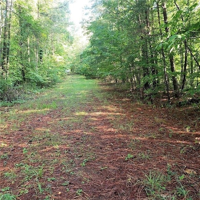 View of landscape