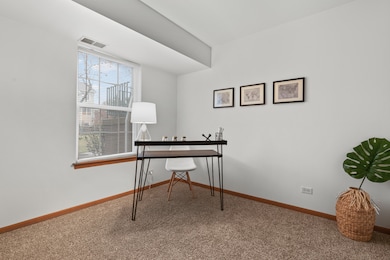 2418 Courtyard Cir unit 3, Aurora, IL 60506 - photo 2