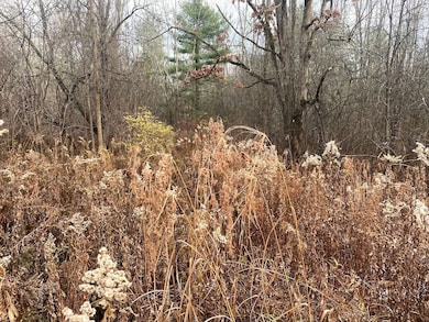 County Road 15, Fillmore, NY 14836 - photo 3