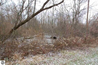 0 ~ #14 Griffin Rd, West Branch, MI 48661 - photo 6