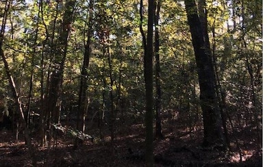 0 SW Manatee Terrace, Ft. White, FL 32038 - photo 4