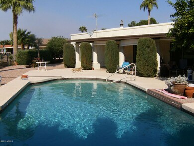 Diving Pool 36x18 Lots of Cool-deck