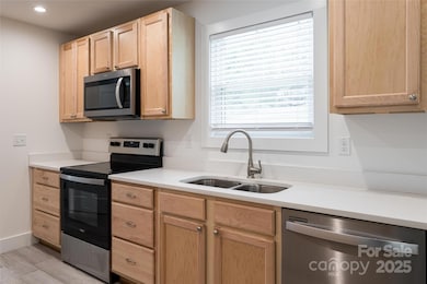 17 Sycamore St, Asheville, NC 28804 - photo 3