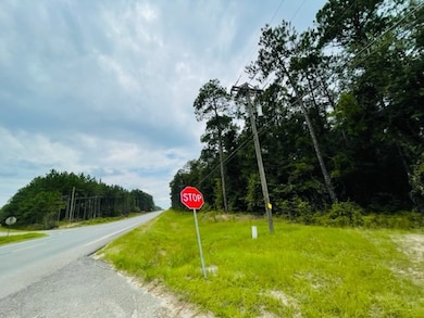 Tract 3 U S 319, Tifton, GA 31794 - photo 3