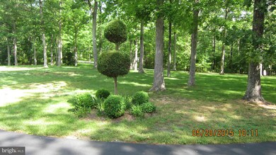 267 Little Pond Ln, Winchester, VA 22603 - photo 6