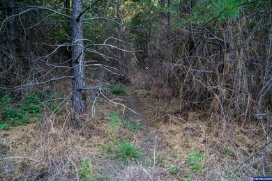 8390 Blanchard Rd, Sheridan, OR 97378 - photo 4