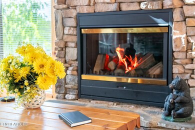 907 Black Bear Cub Way, Sevierville, TN 37862 - photo 6