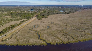 4141 S Us Highway 17, Brunswick, GA 31523 - photo 3