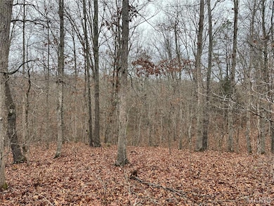 Madison 244 County Road 244, Fredericktown, MO 63645 - photo 6