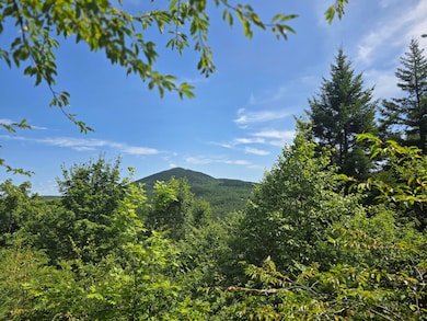 L 5 Ackley Pond Rd, Mount Chase, ME 04765 - photo 3