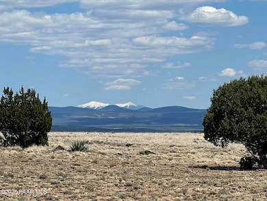 70 Off of Volcano, Ash Fork, AZ 86320 - photo 2