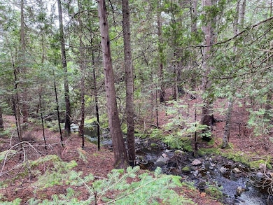 Webster Ln
