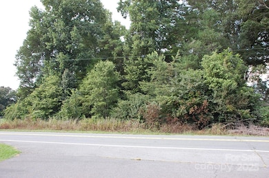 0000 N Carolina 73, Albemarle, NC 28001 - photo 3