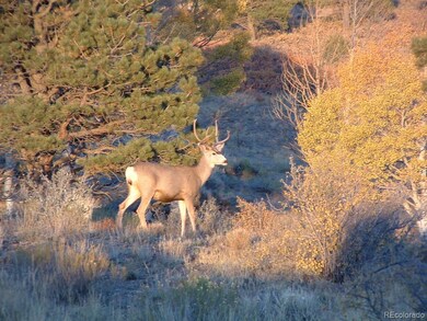 0 Santana Rd, Blanca, CO 81133 - photo 7