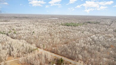 0 S County Line Rd unit 50195278, Shepherd, MI 48883 - photo 3