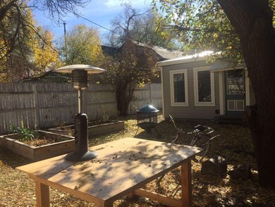 backyard 3