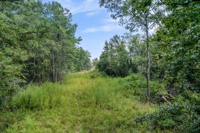 BLUE_LAKE_ROAD-11