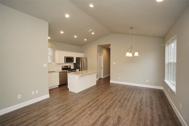 1137 4th St, Rosenberg, TX 77471 - photo 4