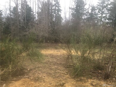 0 364th St S unit 1712996, Roy, WA 98580 - photo 3