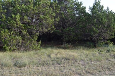 18117 Woodside Dr, Whitney, TX 76692 - photo 5