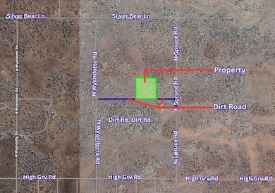 N Spruce Rd, Valle, AZ 86046 - photo 4