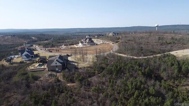 117 Waterview Garden Ln, Roland, AR 72135 - photo 3