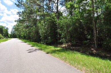 10106 Seneca Trail, Magnolia, TX 77354 - photo 7