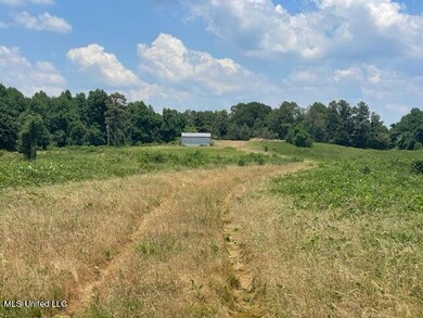 IMG_2790