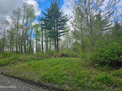 #16 Jenks Rd, Cheshire, MA 01225 - photo 2