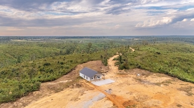 241 Springer Rd, Hohenwald, TN 38462 - photo 2