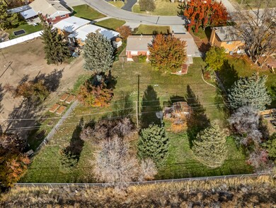 Aerial view of large backyard and mature trees
