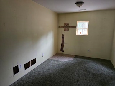 591 State Line Rd N Rd, Newport, WA 99156 - photo 2