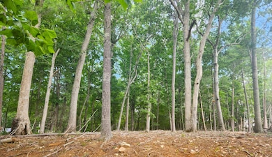 lot