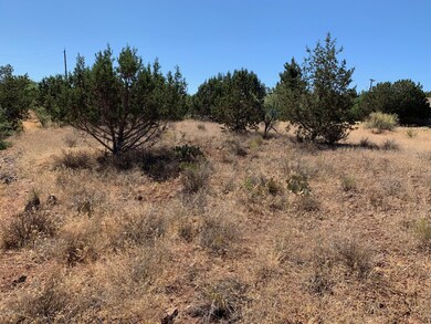 Geronimo Lot 2